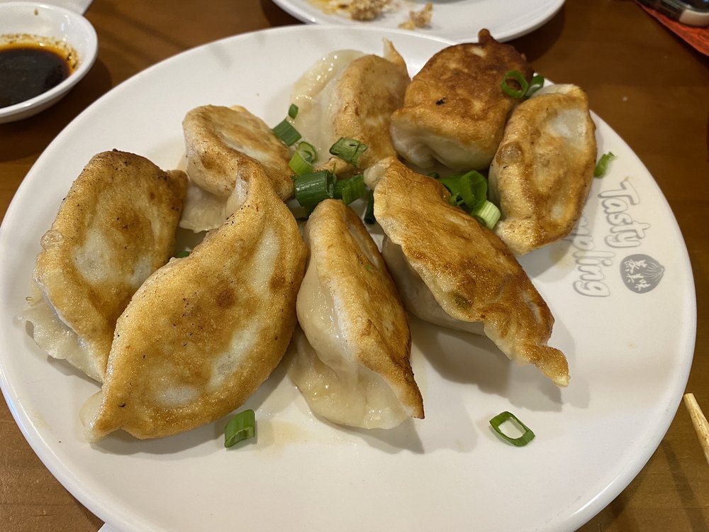 tasty dumpling